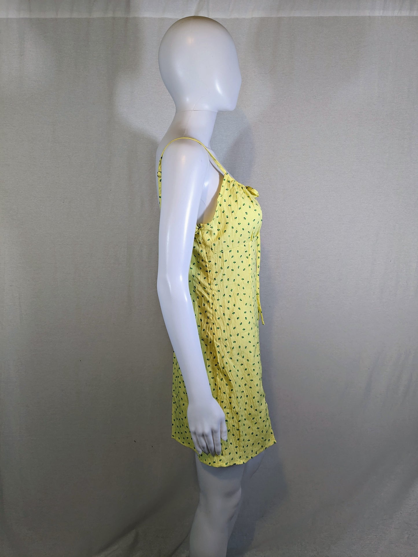 Cider Dress Size S